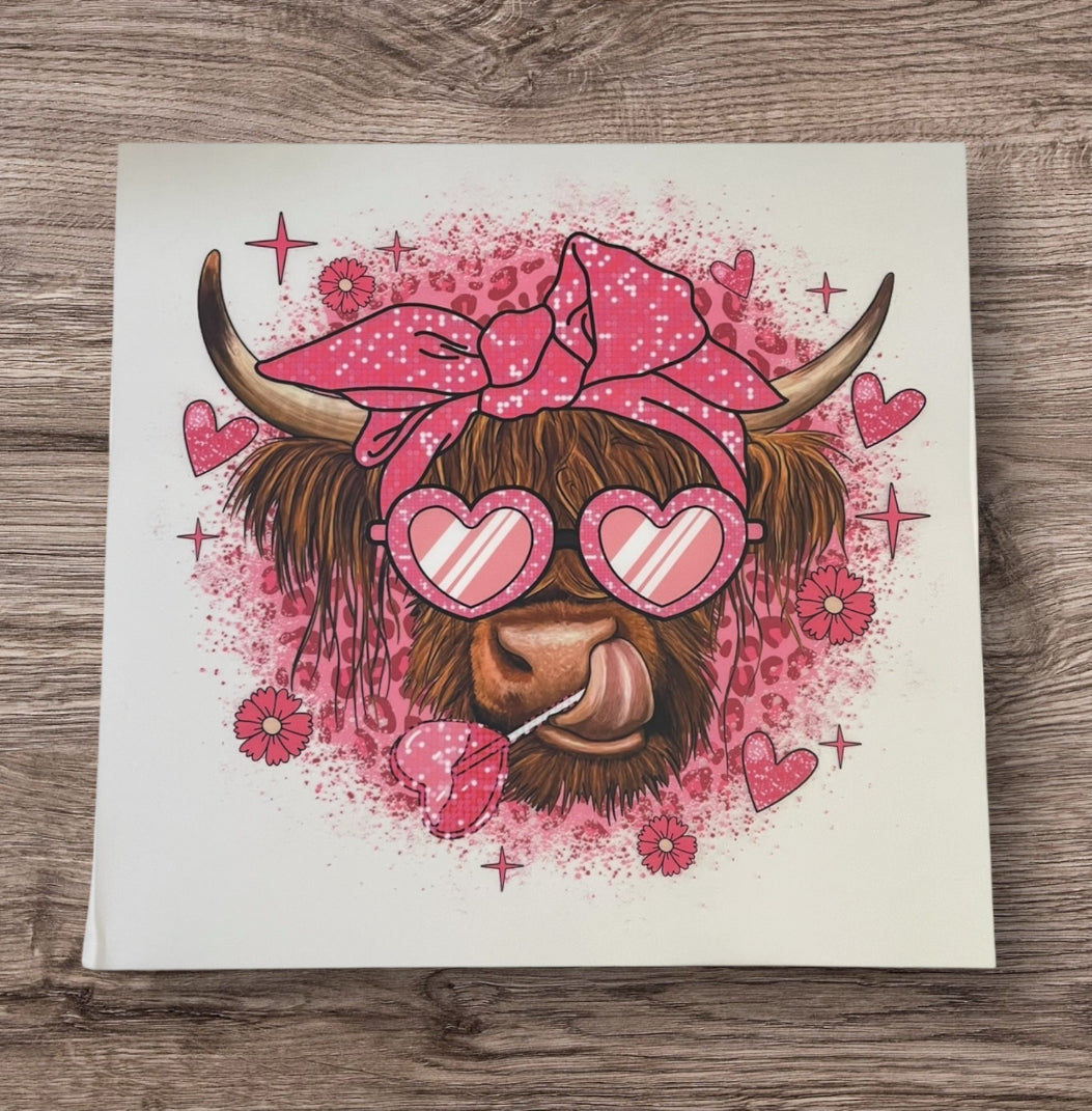 Highland Cow