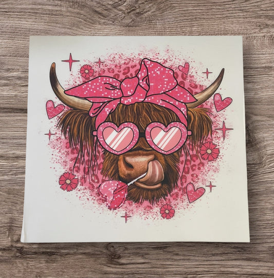Highland Cow